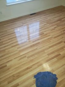 Residential Cleaning in Richmond, VA (2)